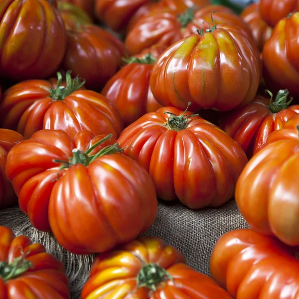 Lufa Farms tomates Beefsteak. —  Fotos de Stock