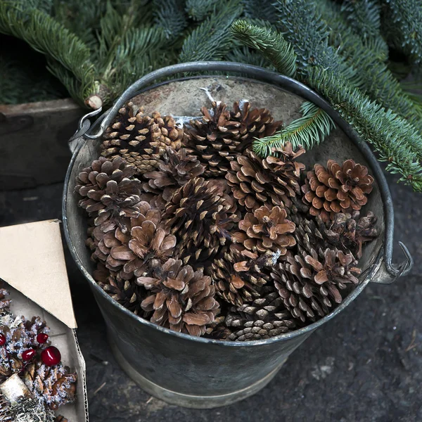 Cesta cheia de cones de pinho — Fotografia de Stock