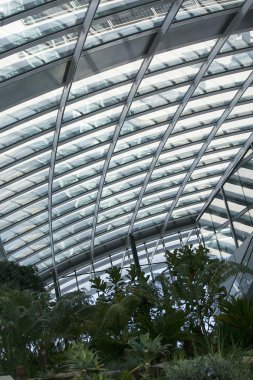 Volki tolki bina, Londra