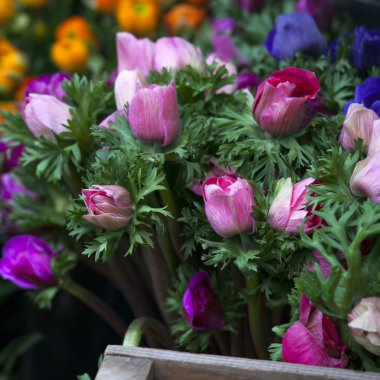 Anemon çiçeği çiçek vazosu