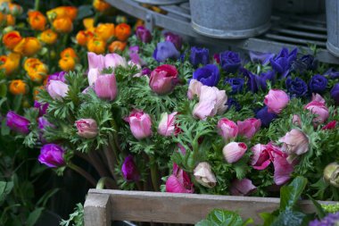 Anemon çiçeği çiçek vazosu