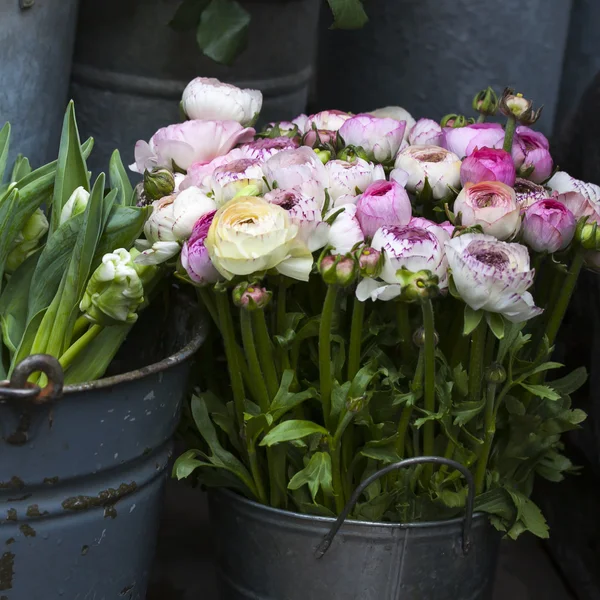 Peony flowers in vase — Stock Photo, Image