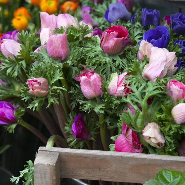 Anemone flowers in vase — Stock Photo, Image