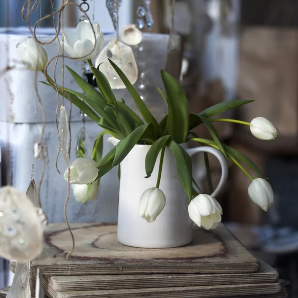 Verse witte tulpen — Stockfoto