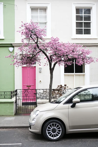 Cherry blossom in London — Stock Photo, Image