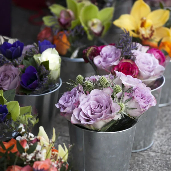 Fleurs printanières colorées — Photo