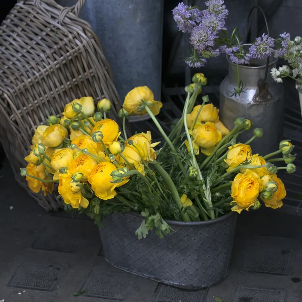 Žlutý Pryskyřník květiny — Stock fotografie