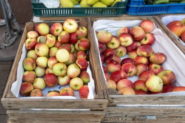 Yeni toplanmış kırmızı ve sarı elmalar bir açık pazarda tahta sandıklarda.