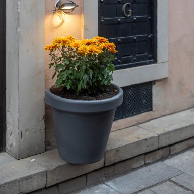 Orange Mums in a Planter by a Historic Doorway at Night
