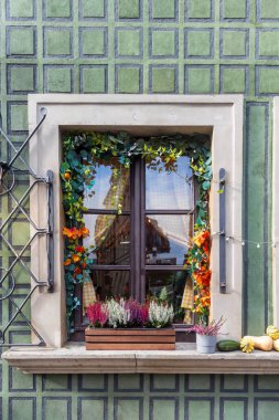 Tarihsel Pencere Sonbahar Çiçekleri ve Yeşil Cephe ile süslenmiş