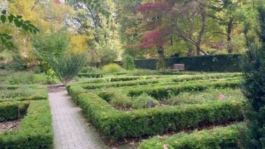 Maze, Polonya botanik bahçesinde.