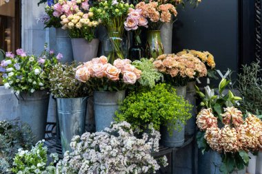 Açık pembe güller ve bir çiçekçinin bahçesinde kırsal metal kovalar ve cam vazolar içinde sunulan çeşitli çiçekler de dahil olmak üzere renkli ve bol miktarda açık hava sergisi..