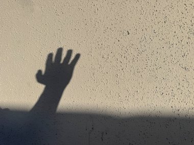 Kalkmış bir elin gölgesi çarpıcı bir şekilde koyu güneş ışığıyla kaplanmış, açık renkli bir sıva duvarına dökülür.. 