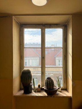 Güneş ışığı yıpranmış, dokulu bir iç mekâna akar, derin bir pencere pervazında, kırmızı kiremitli çatılar ve uzak şehir binaları manzaralı, eklektik bir kaktüs ve sulu su koleksiyonu aydınlatır..