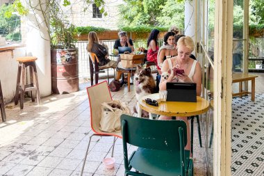Hayfa, İsrail, 5 Eylül 2025. Parlak, güneşli bir kafe terasında insanlar rahatlıyor, dizüstü bilgisayarlarla çalışıyor ve bir patronun yanında oturan iri yapılı bir köpekle eğleniyorlar..