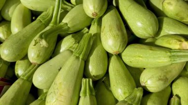 Genç kabaklar markette bir sandıkta.