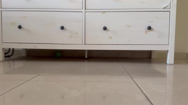 Döşemesi fayansla kaplı bir odayı temizliyorum. Kablosuz bir süpürge beyaz bir şifonyerin altını temizliyor..