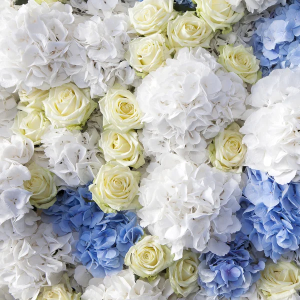 Красивый и нежный букет белой розы и голубых лютиков — стоковое фото