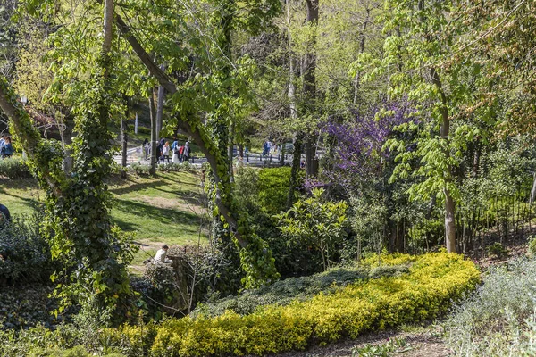 İstanbul, Türkiye, 5 Mayıs 2025, İstanbul, Türkiye 'deki yemyeşil bir parkın geniş görünümü, ağaçlar, çiçek açan çalılar ve tek başına bir bankta oturan bir kişi okuma veya dinlenme