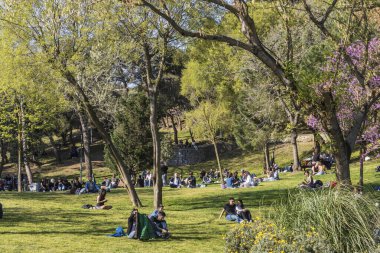 İstanbul, Türkiye, 5 Mayıs 2025, İnsanlar baharda, güneşli bir öğleden sonra yeşil bir yamaçta dinleniyor