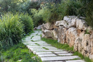 Dikdörtgen levhalar arasında büyüyen çimlerin bulunduğu taş patika yolu, kireçtaşı kaya duvarları ve botanik bahçesindeki süs çimleriyle çevrili.