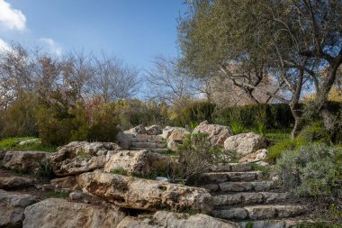 Bitki bahçesindeki yemyeşil Akdeniz çalılarının ve çalıların arasından geçen taş adımlar..