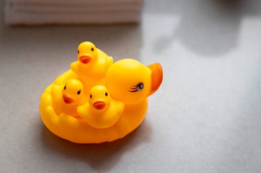 Bir büyük anne ördek ve üç küçük ördek yavrusuyla bir grup sarı lastik ördek..