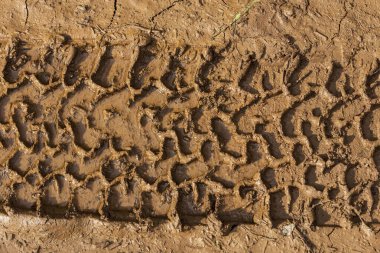 Islak kahverengi çamurdaki lastik izini kapat.