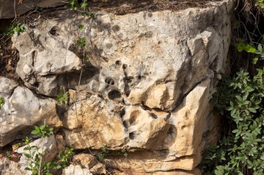 Yıpranmış kireç taşının dokusunda doğal delikler ve çatlaklar var.