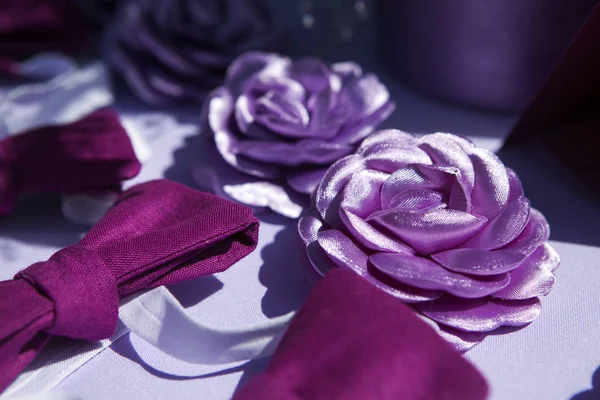 Vista superior de la banda de pelo violeta en la recepción de la boda — Foto de Stock