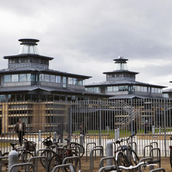 College of Cambridge — Stock Photo, Image