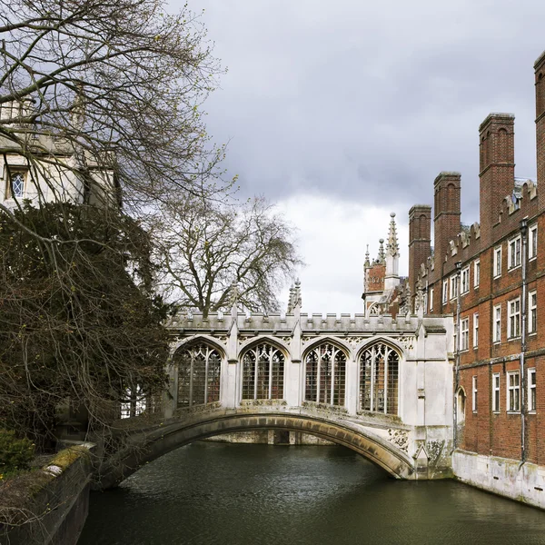 Colegio de Cambridge — Foto de Stock