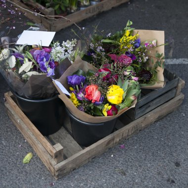 dark blue Anemone plant surrounded by different flowers in the wooden box in flower store. Selective focus