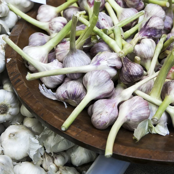 Fresco ajo común de cerca — Foto de Stock