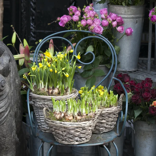 黄色の花。花を売る店。水仙。春の時間 — ストック写真