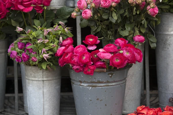 Roze lupin te koop. Perzisch buttercup bloemen (Boterbloem) - regeling van het huwelijk — Stockfoto