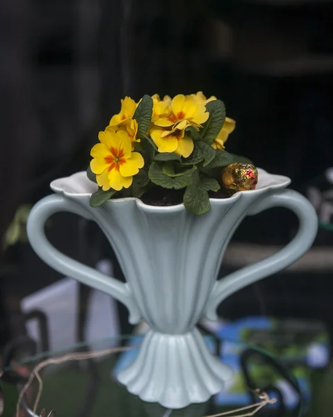 Primevère jaune dans un vase blanc antique sur le marché des antiquités — Photo