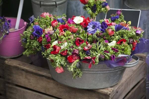 Květina na prodej. fialové Sasanka v zinku kbelík — Stock fotografie