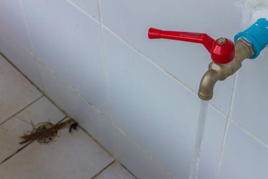 Musluk satırı kamu malı arkaplanıdır