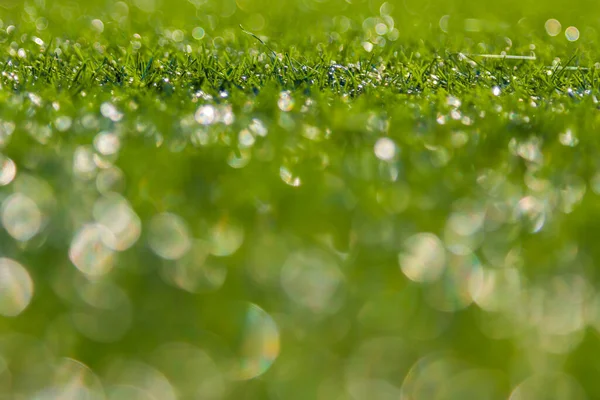 Bokeh Groen Gras Natuur Achtergrond — Stockfoto