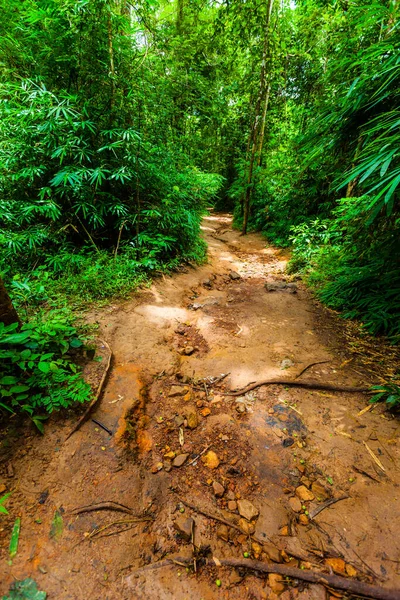 Şelale arka planına giden yol