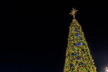 Siyah arka planda süslemesi olan Noel ağacı ışığı