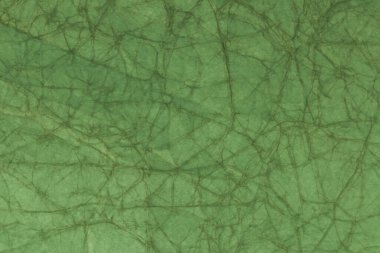 Eski açık yeşil buruşmuş kağıt dokusu