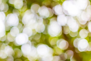 Ağaç arkaplanından yeşil bokeh 'i çıkar