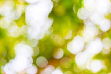 Ağaç arkaplanından yeşil bokeh 'i çıkar