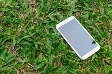 Yeşil çimen arka planında boş ekranı olan beyaz akıllı telefon