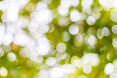 Ağaç arkaplanından yeşil bokeh 'i çıkar