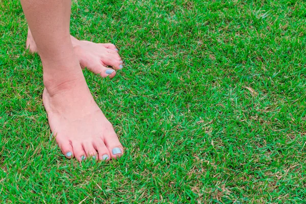 女性の足は新鮮な緑の草の背景に立つ — ストック写真