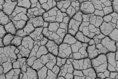 Çatlamış toprak kuru kara dokusu arka planı