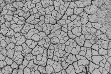 Çatlamış toprak kuru kara dokusu arka planı